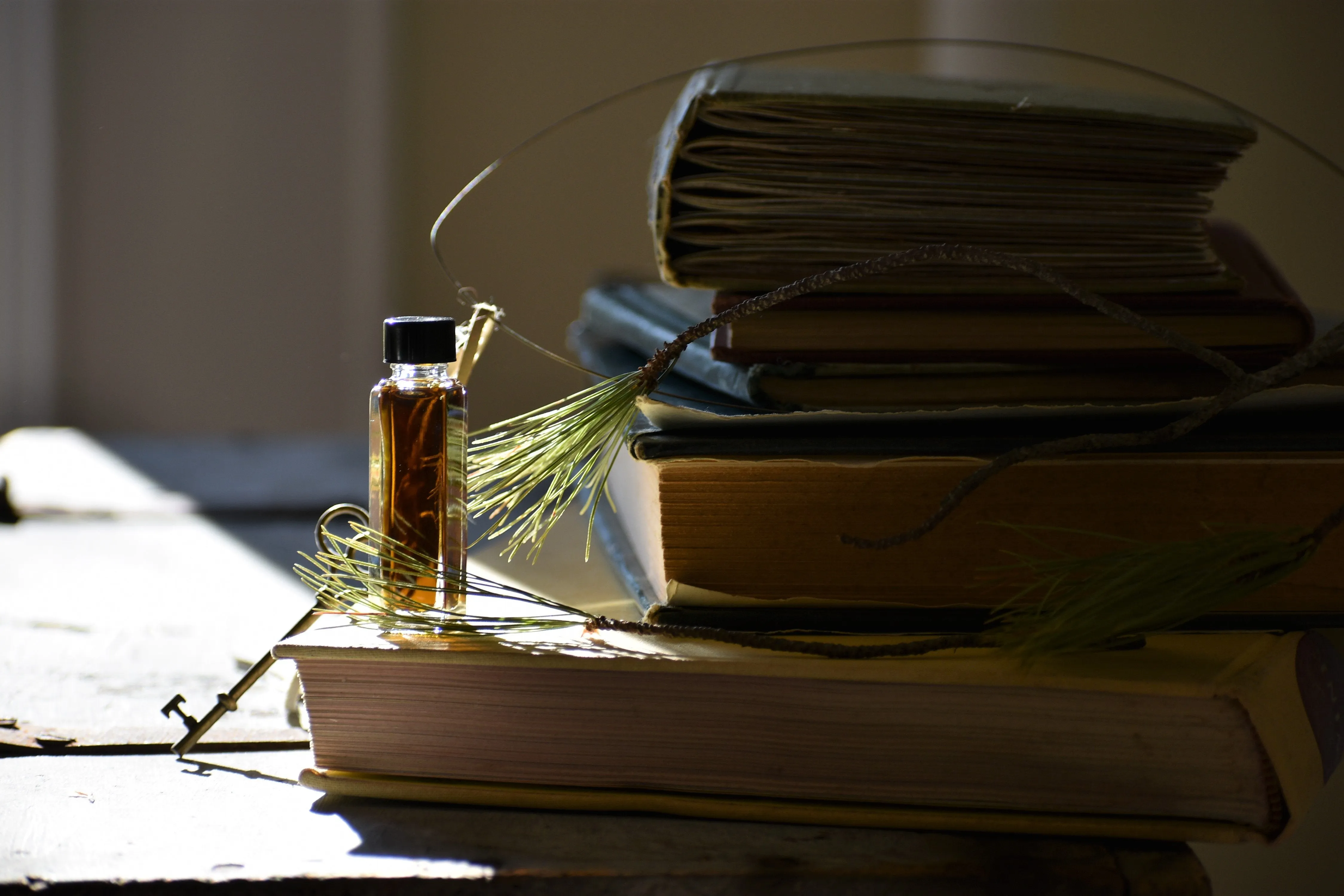 KEY { to the forest } - folk tale week perfume - coniferous, balsams - Limited project