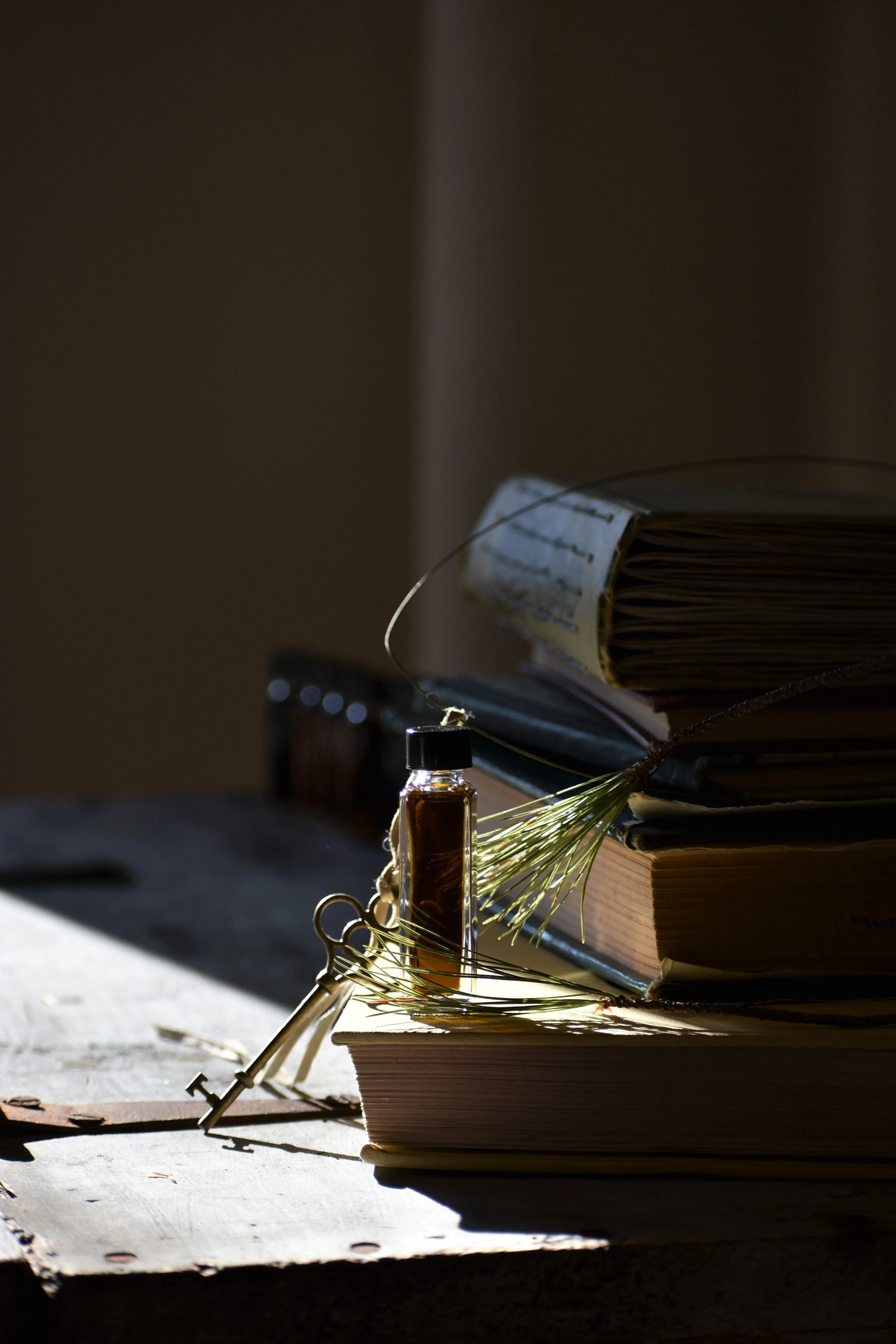 KEY { to the forest } - folk tale week perfume - coniferous, balsams - Limited project