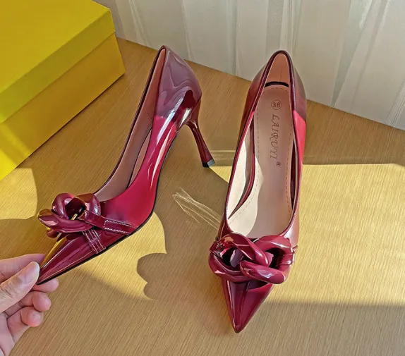 Pointed Toe High Heels Shoes