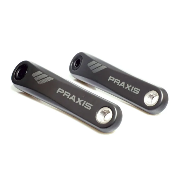 Praxis Carbon FAZUA / BROSE / TQ eCrank