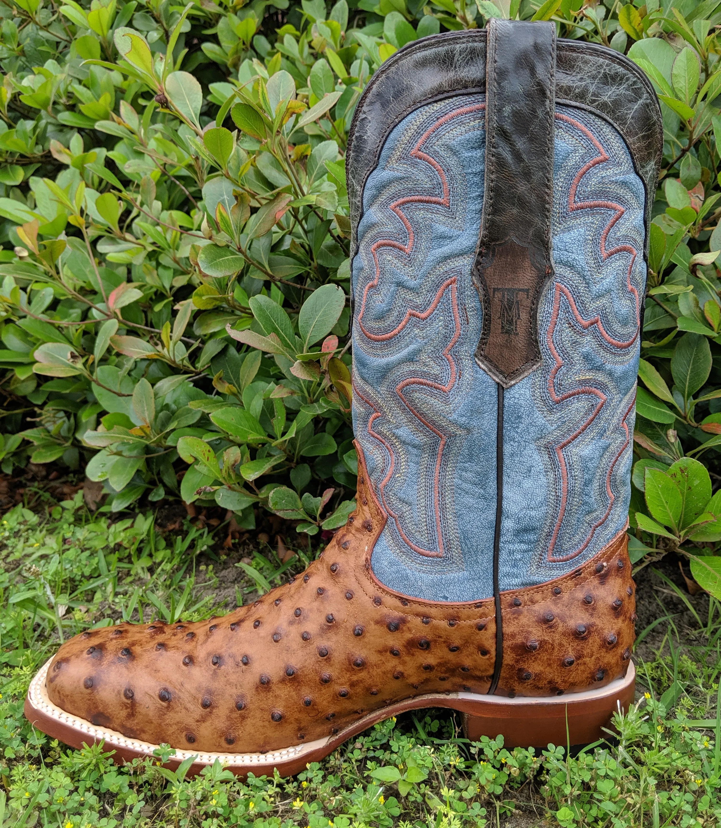 Tanner Mark Montana Mens Boot