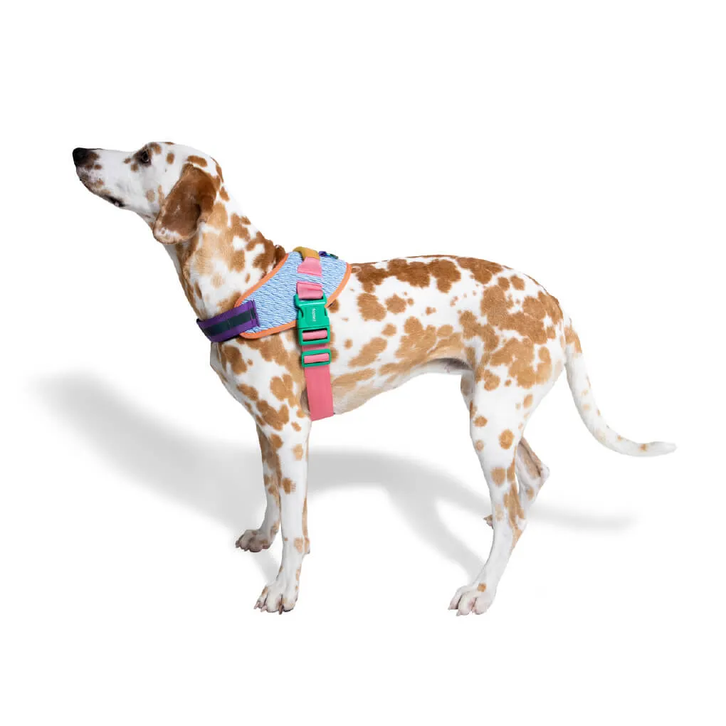 Zee.Dog FlyHarness | Galaxy