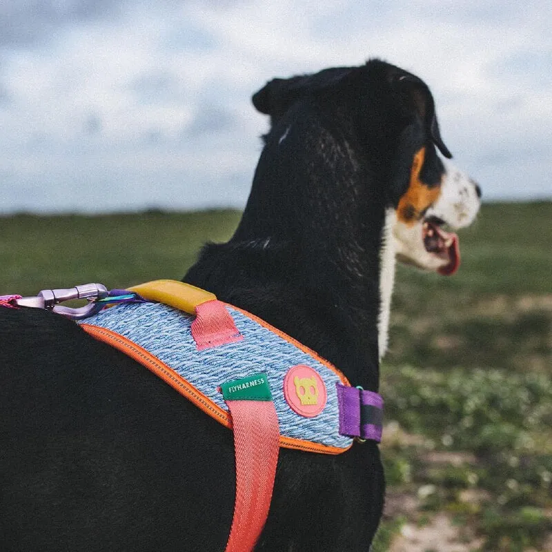 Zee.Dog FlyHarness | Galaxy